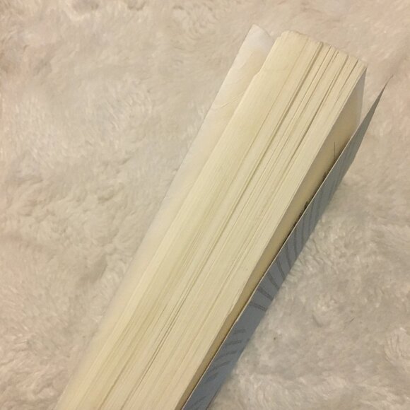 2/$25 'Amsterdam' Softcover By Russell Shorto - Picture 7 of 8